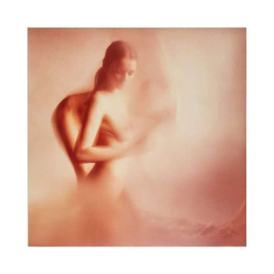 Karin Székessy Five Bromoil Nude Photographs, circa 1974